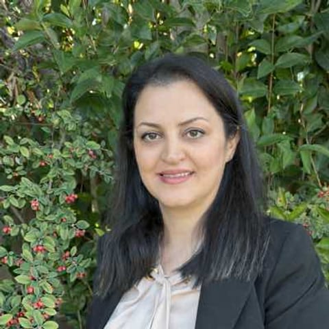 Roya Ranjbariman, Curtains/Blinds